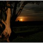 Krüger National Park bei Nacht