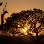 Krüger NP, Sonnenuntergang