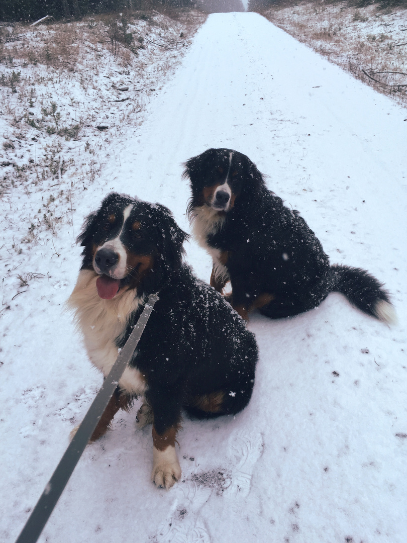 Krümel, Duncan und der Schnee