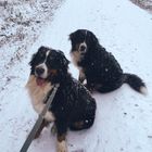 Krümel, Duncan und der Schnee