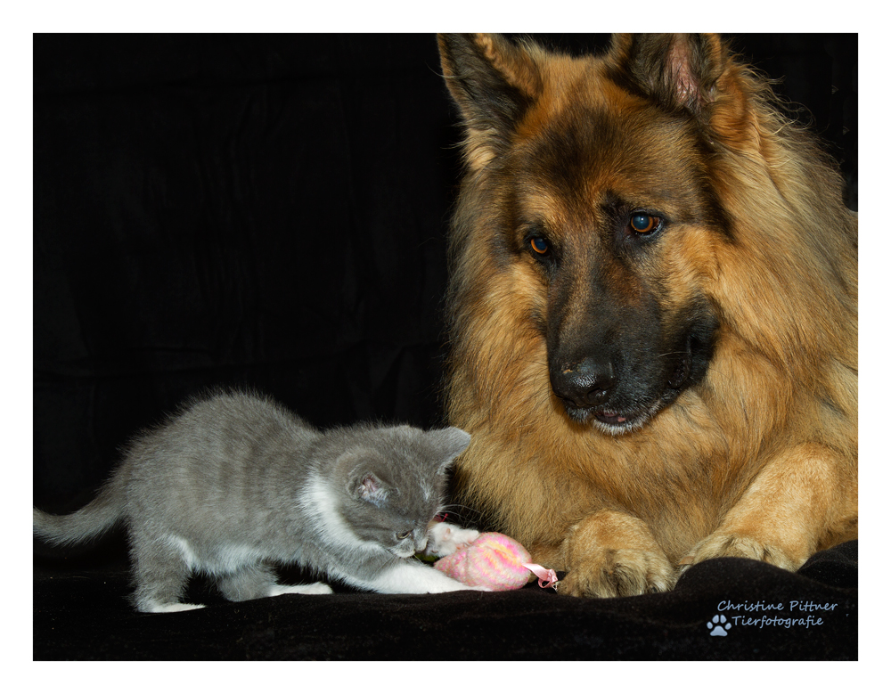 Krümmelchen und sein bester Freund