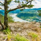 Krüppelwald am Mittelrhein 06