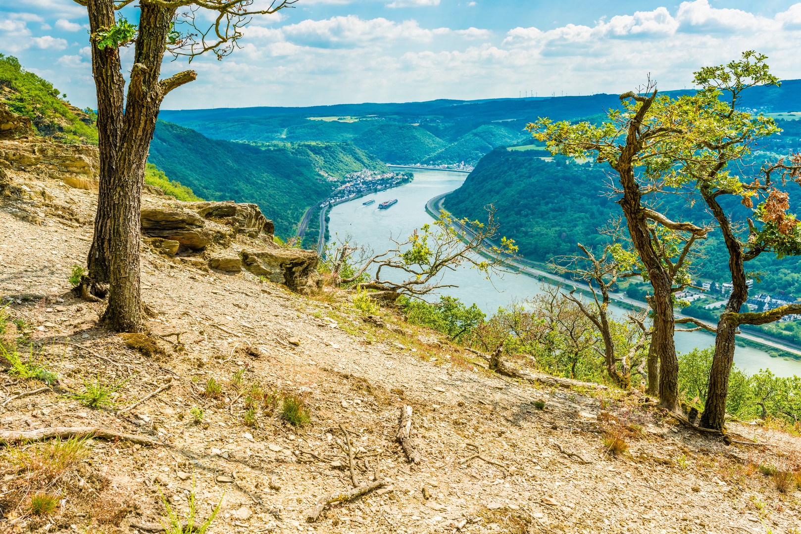 Krüppelwald am Mittelrhein 40