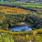 Krufter Waldsee