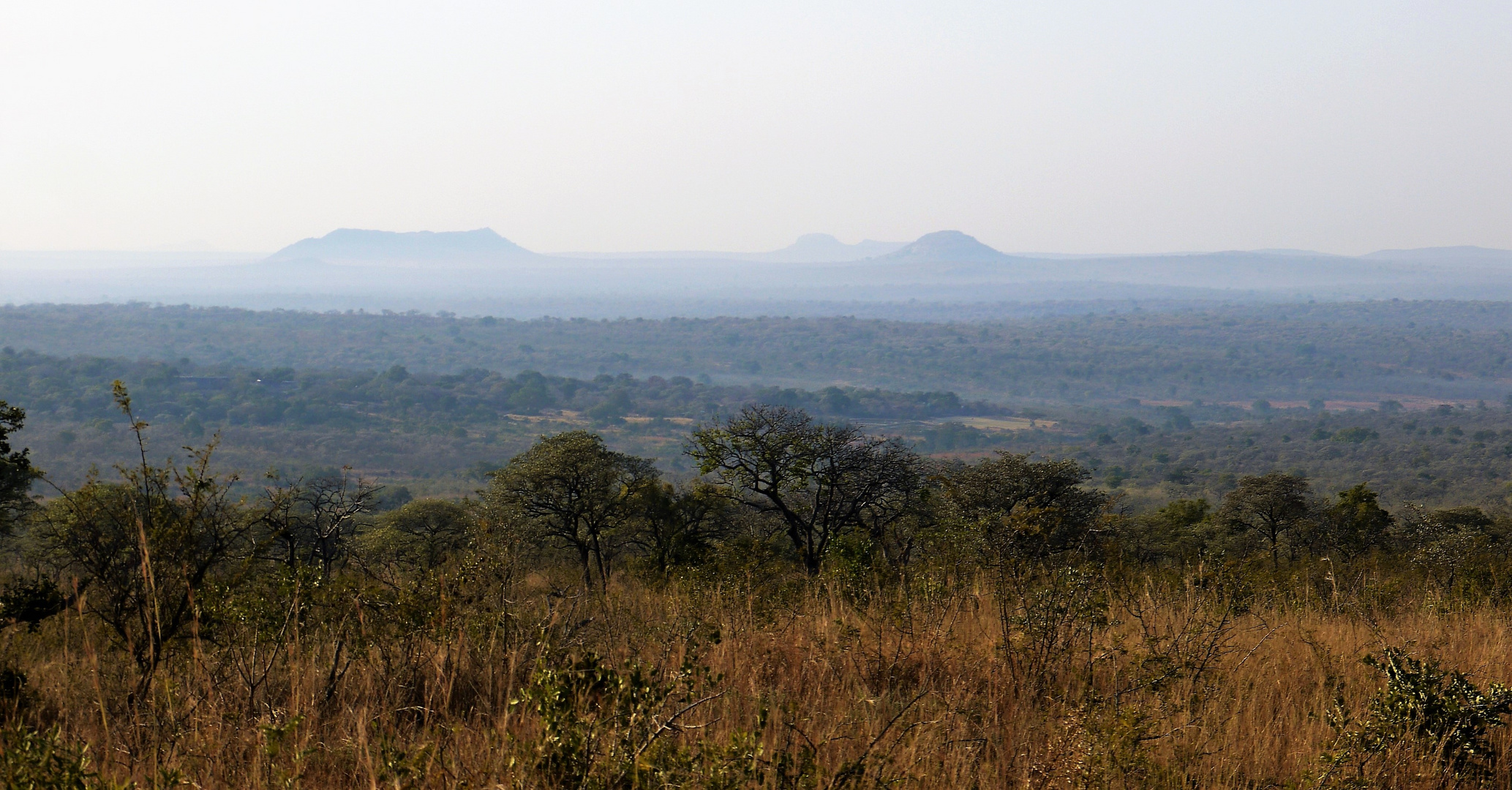 Kruger-Nationalpark