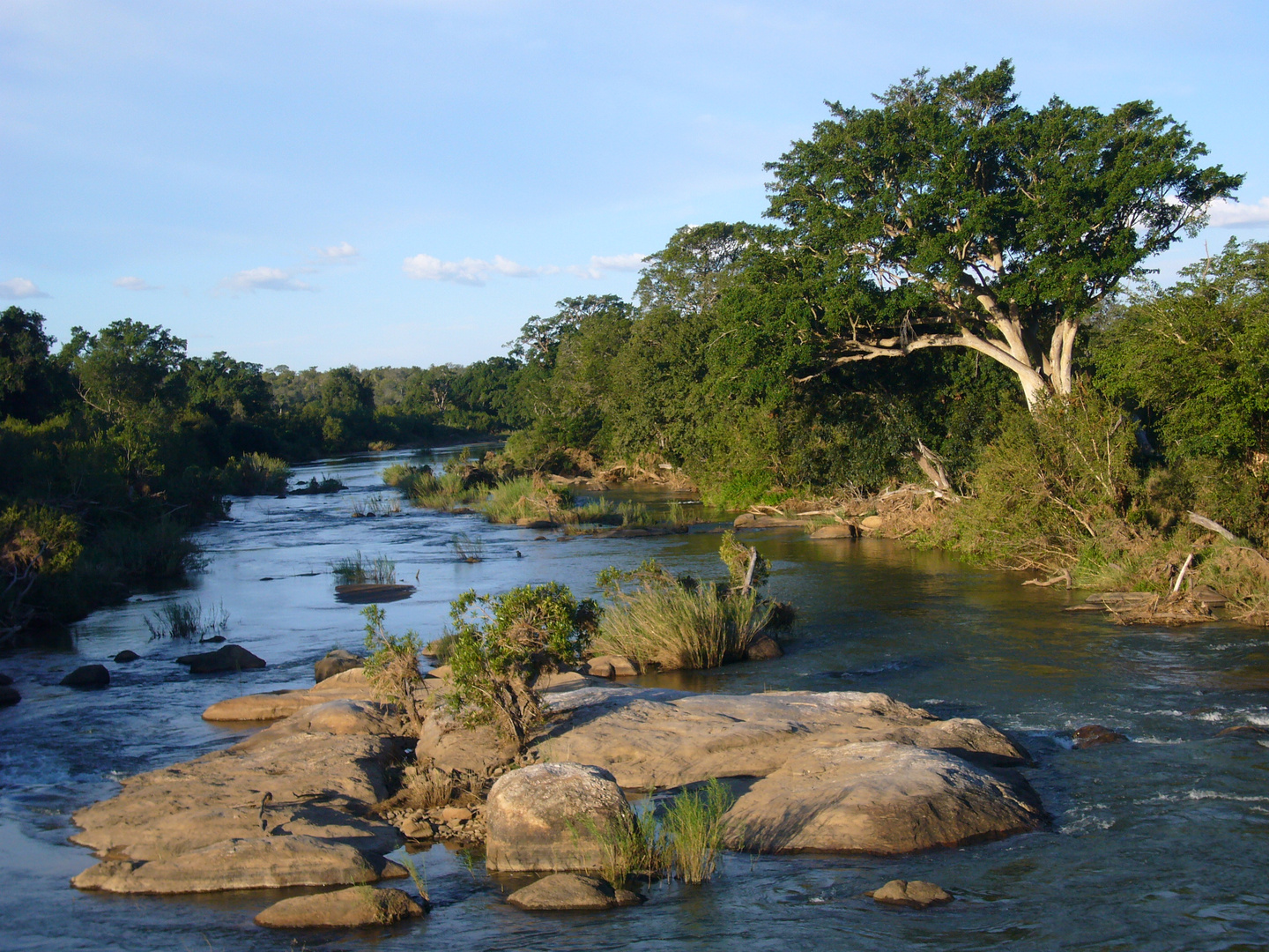 Kruger Nationalpark