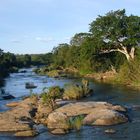 Kruger Nationalpark