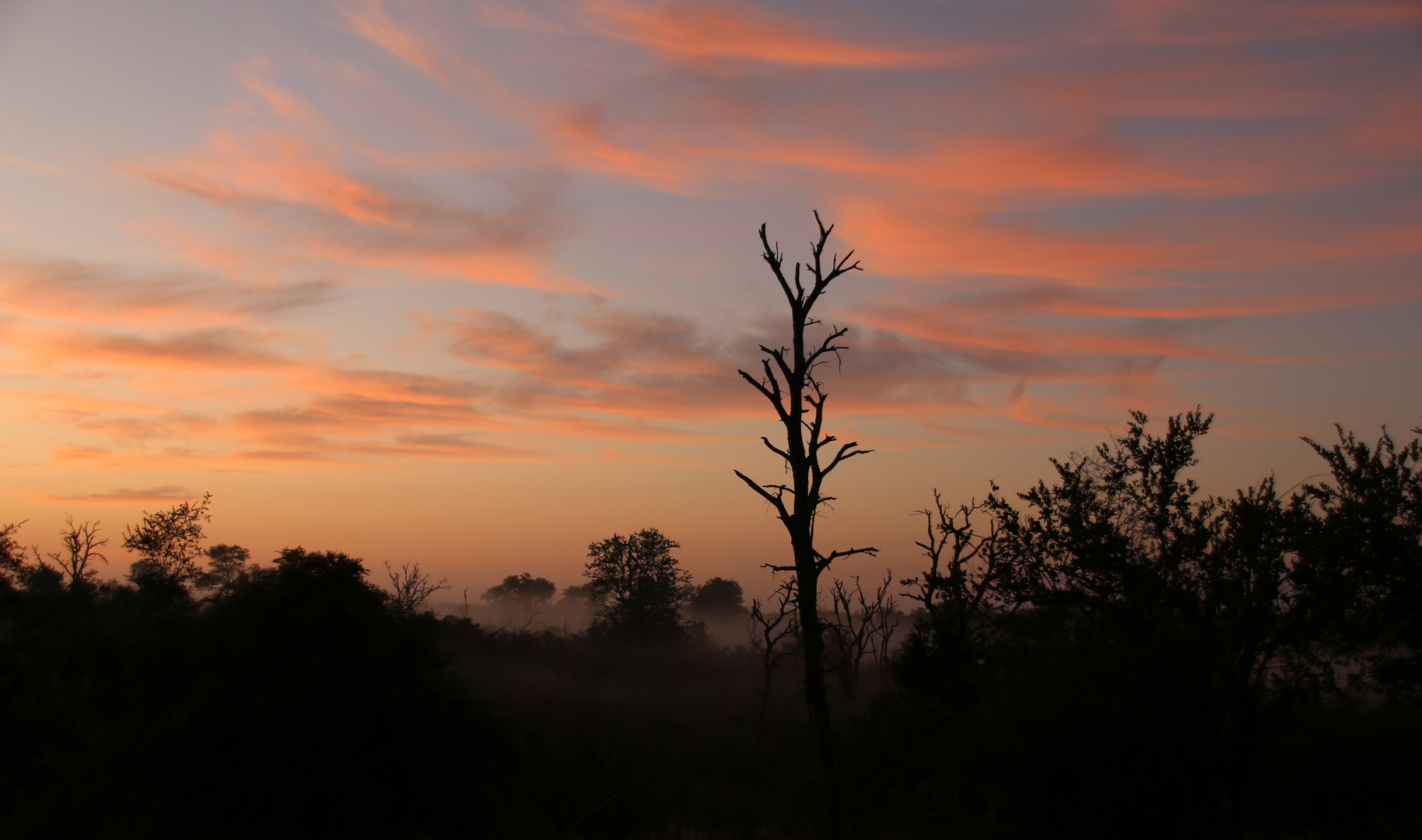 Kruger NP