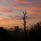 Kruger NP