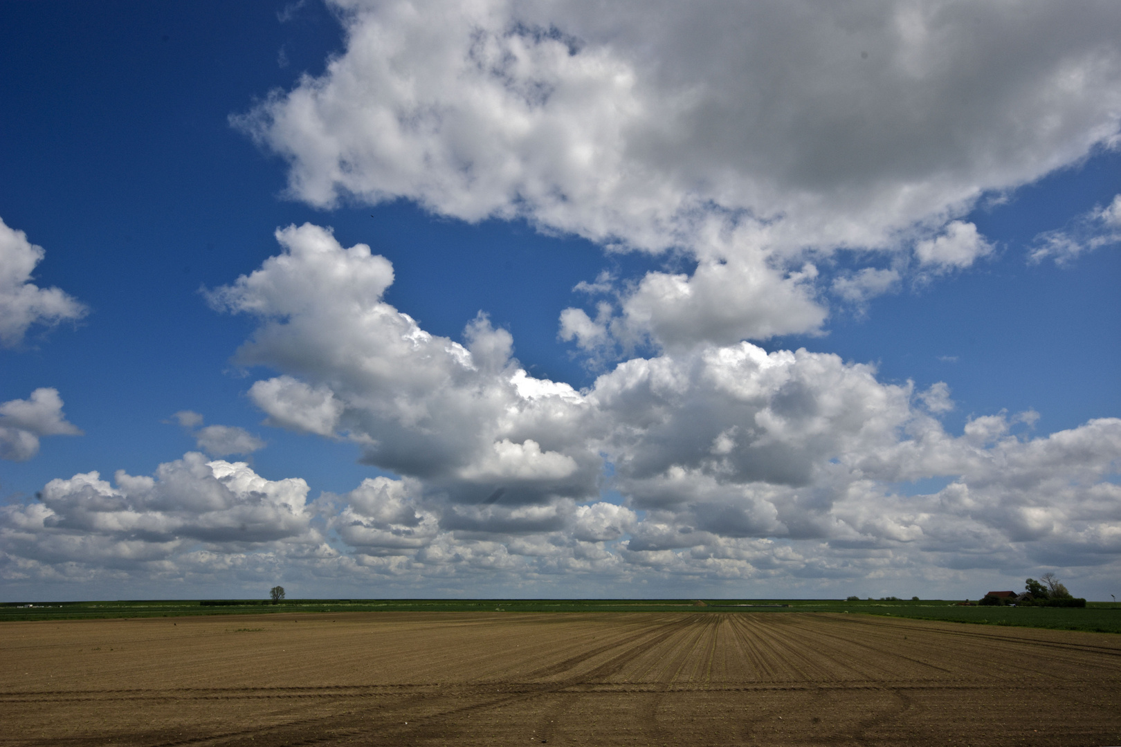 Kruiningen - Olzende Dijk Polder - 1