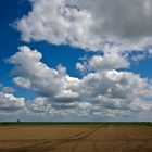 Kruiningen - Olzende Dijk Polder - 1