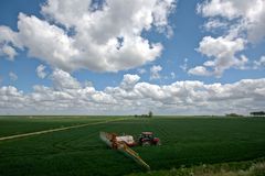 Kruiningen - Olzende Dijk Polder - 2