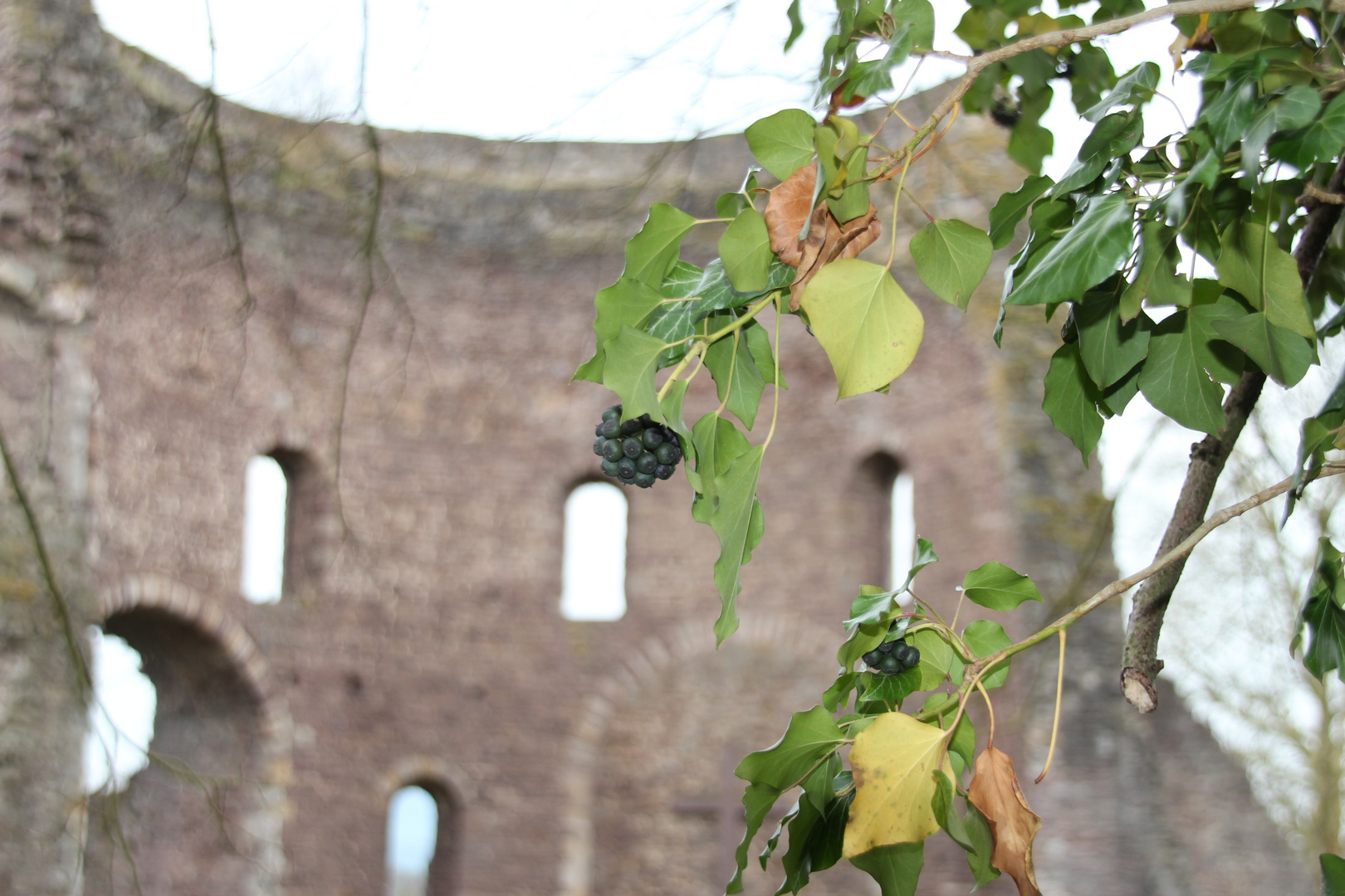 Krukenburg bei Trendelburg