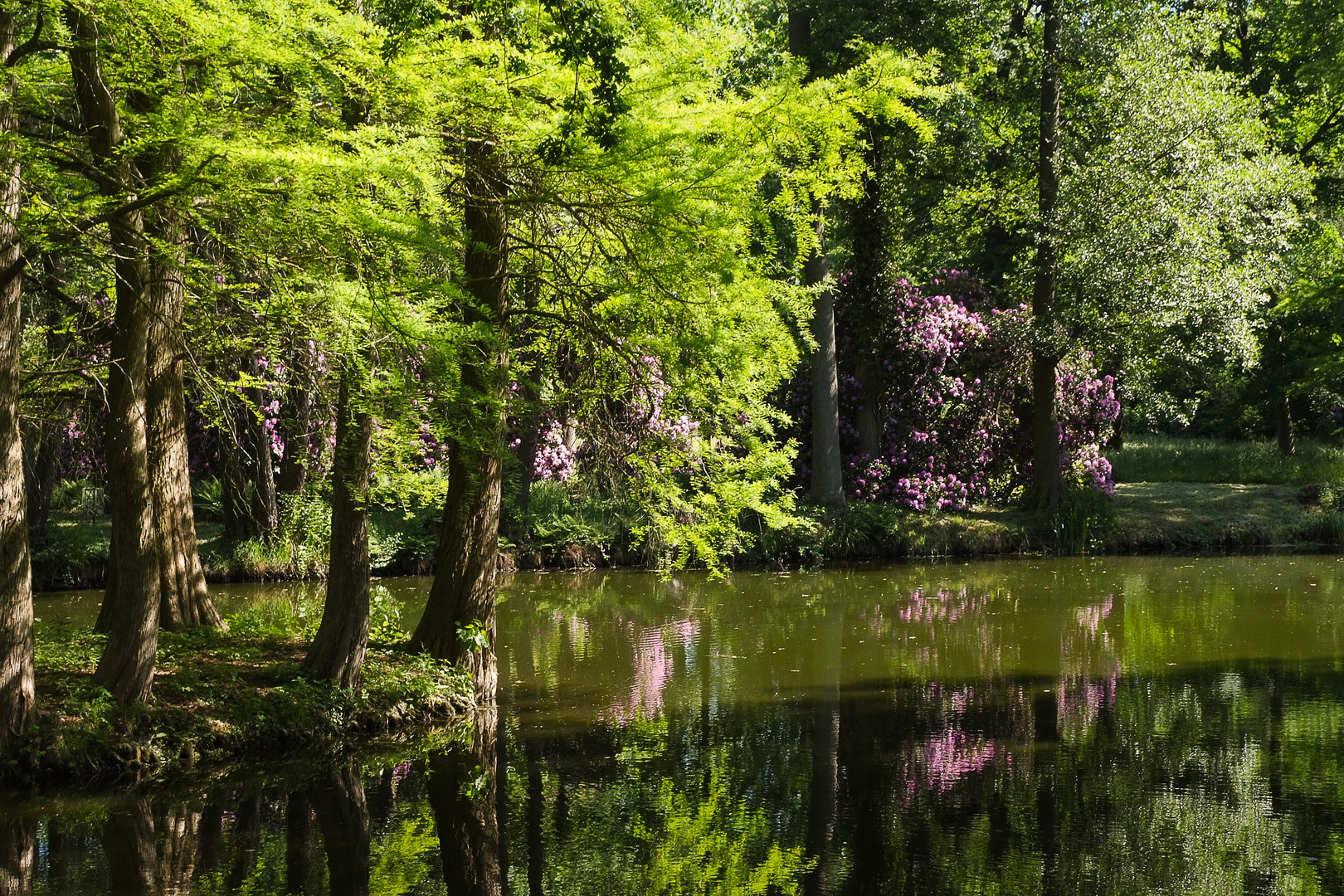 Krumke - Schlosspark Krumke im Mai