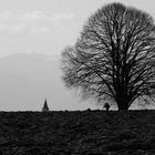 Krumme, Kirche, Kreuz und Kogel