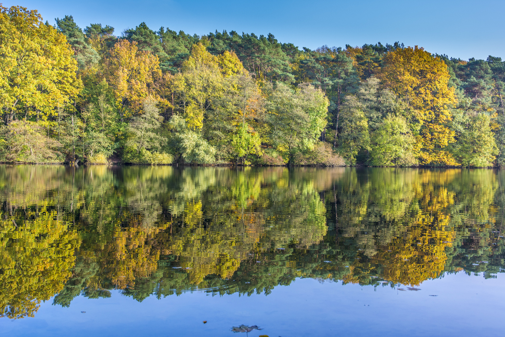 krumme lanke berlin