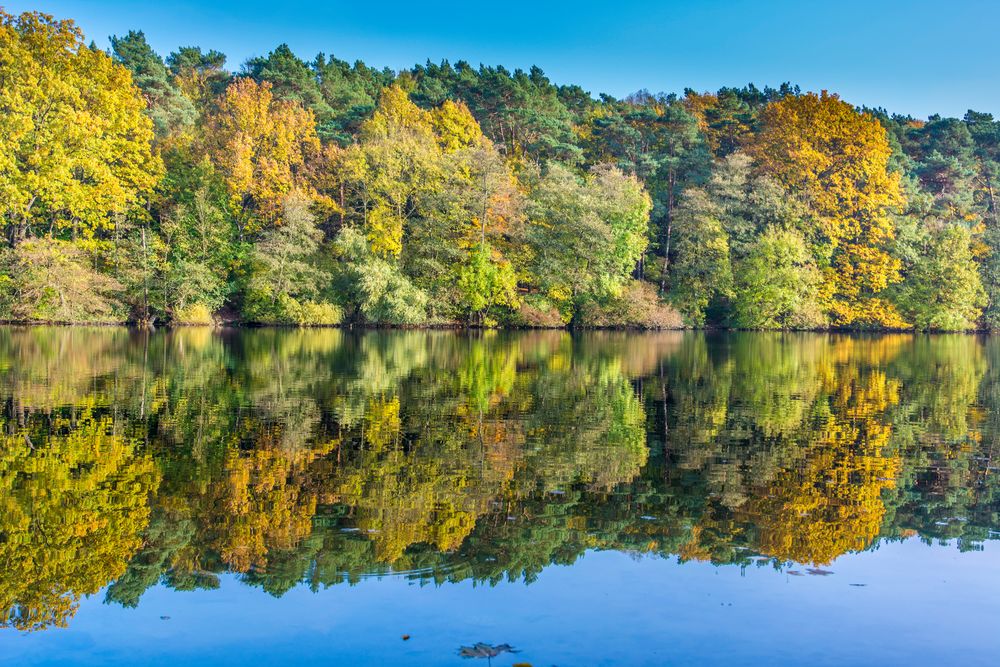 krumme lanke berlin Foto & Bild landschaft, bach, fluss & see, see