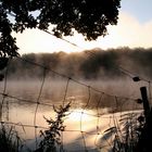 "Krumme Lanke, morgens um halb acht in Berlin"