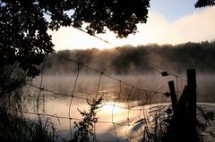 "Krumme Lanke, morgens um halb acht in Berlin"