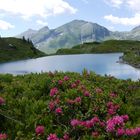 Krumschnablsee