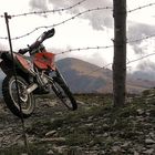 ..... KTM on wire .....