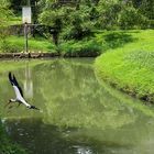 Kuala Lumpur Bird Park