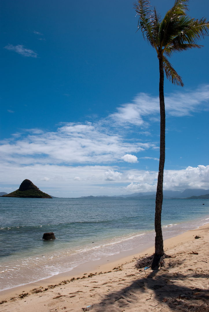 Kualoa Beach