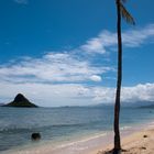 Kualoa Beach