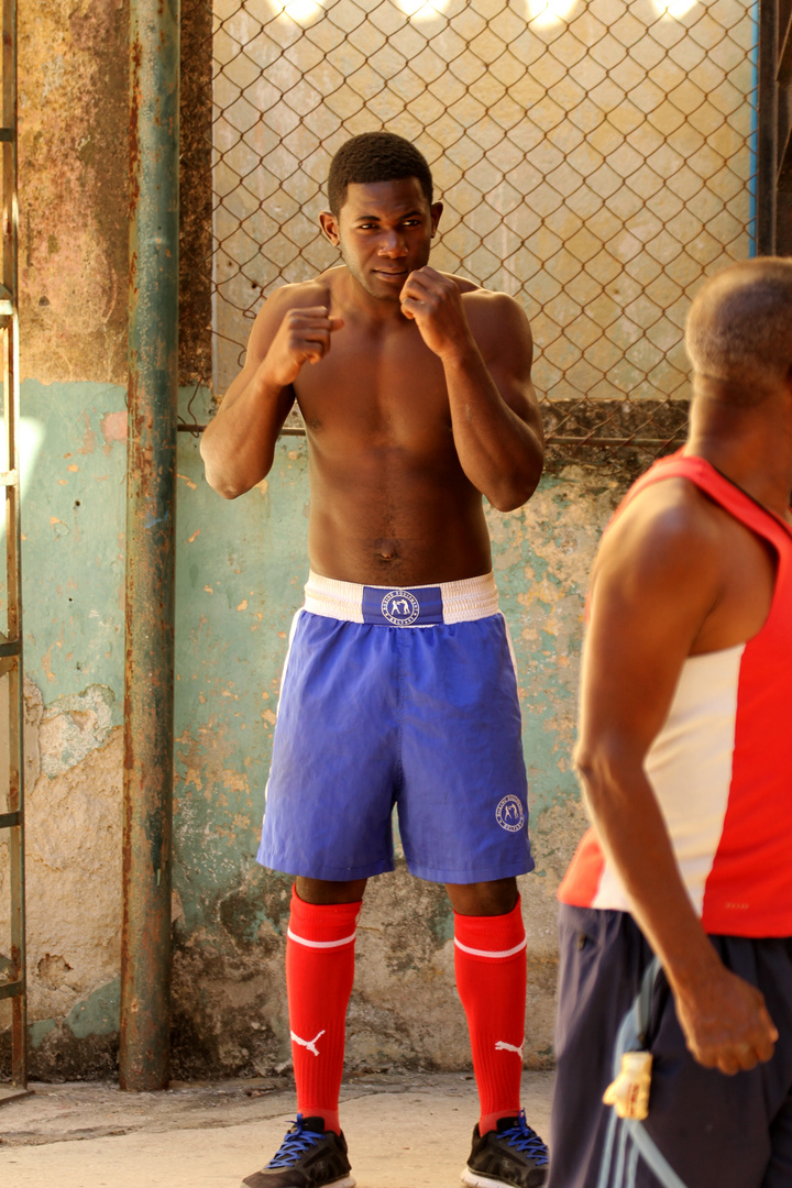 Kuba Boxing 2
