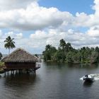 KUBA (Cuba) - Zapata - Schatzsee (Laguna del Tesoro) - GUAMA