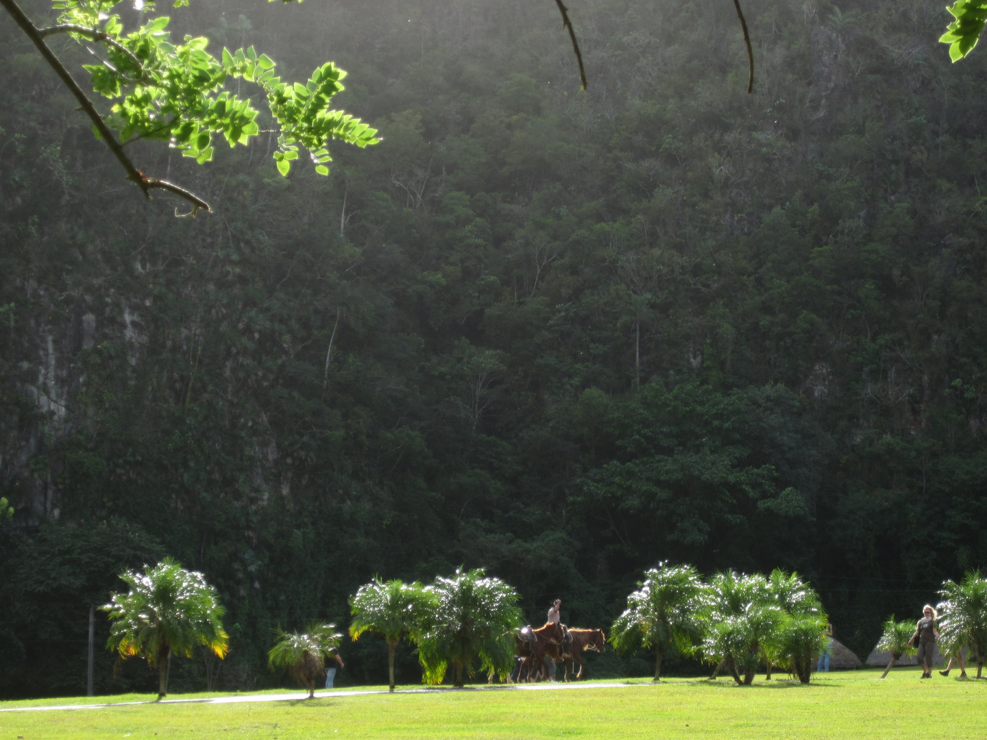 Kuba - Licht und Schatten im Viñales-Tal