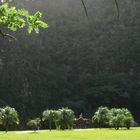 Kuba - Licht und Schatten im Viñales-Tal