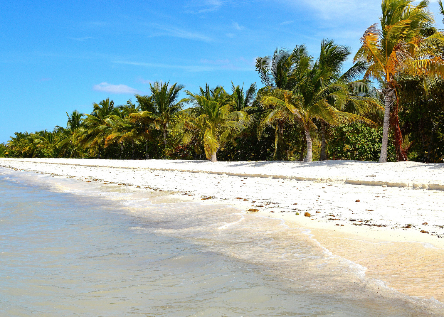 Kuba, Strand der Insel Cayo Blanco