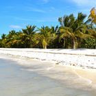 Kuba, Strand der Insel Cayo Blanco