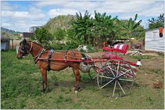 Kuba, Valle de Viñales