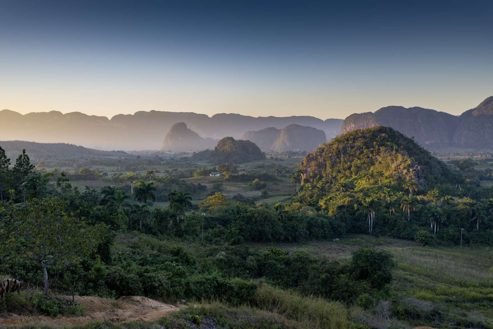 Kuba Vinales