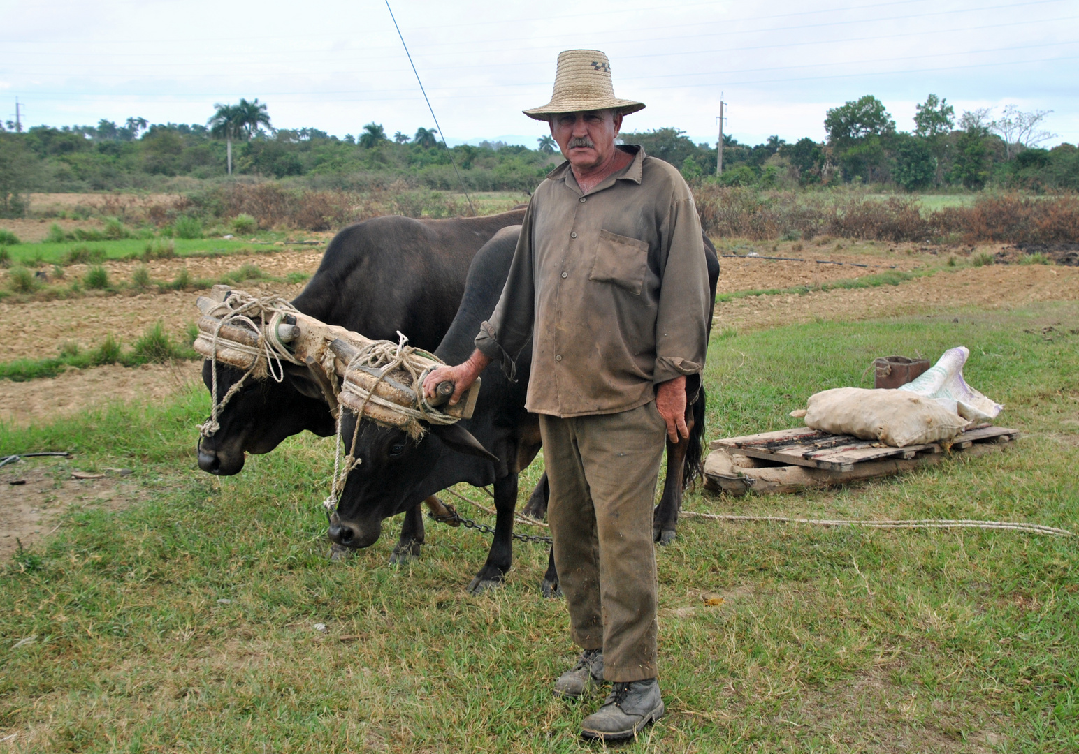 Kubanischer Bauer