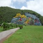 Kuba,Vinales, Felsmalerei Mural de la Prehistoria