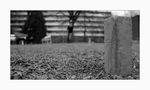 Kubb (18mm) von Jonas Vogel