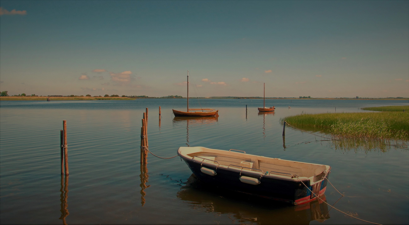 Kubitzer Bodden Foto & Bild | natur, rügen, landschaft Bilder auf ...