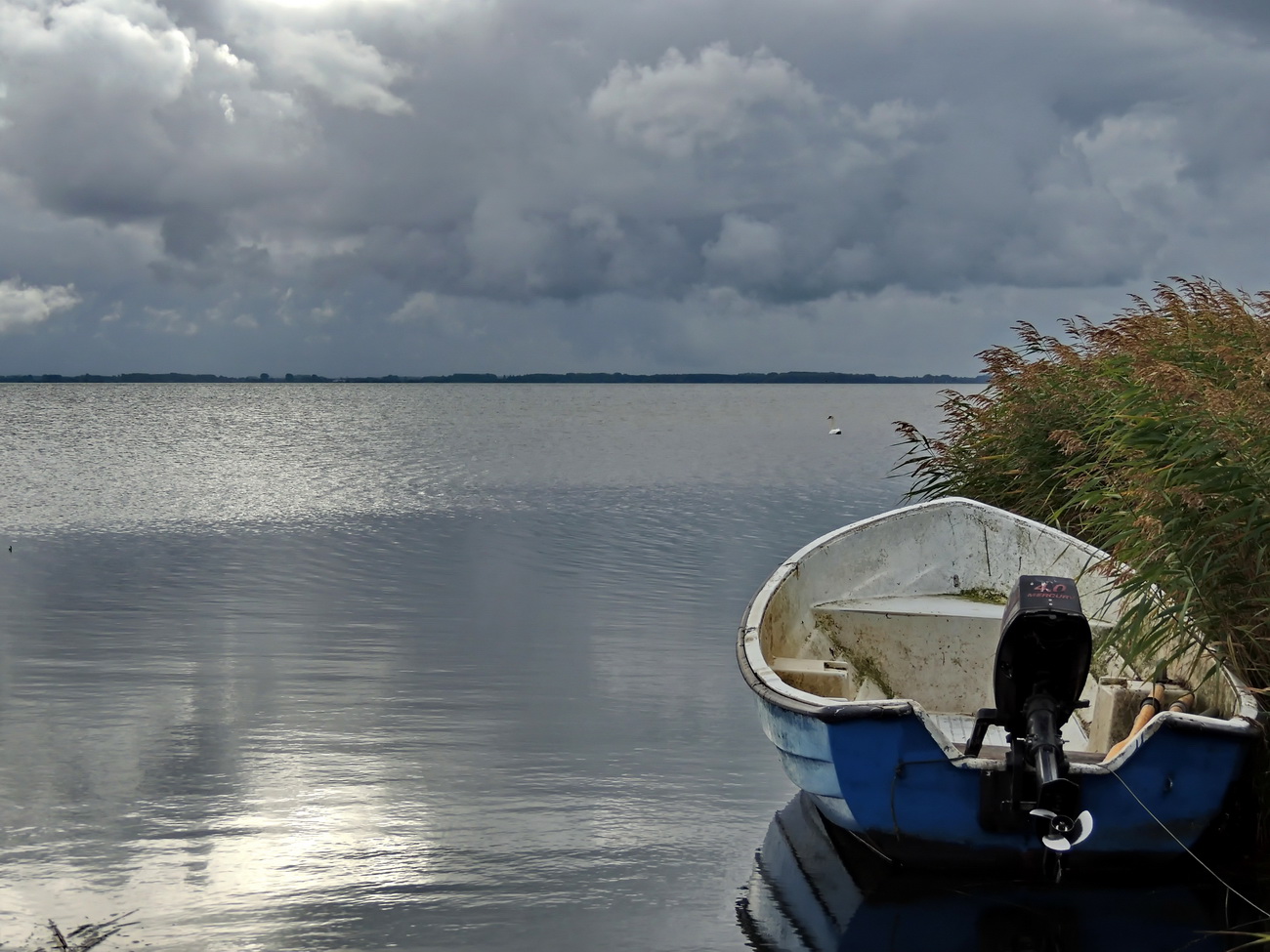 Kubitzer Bodden/Rügen