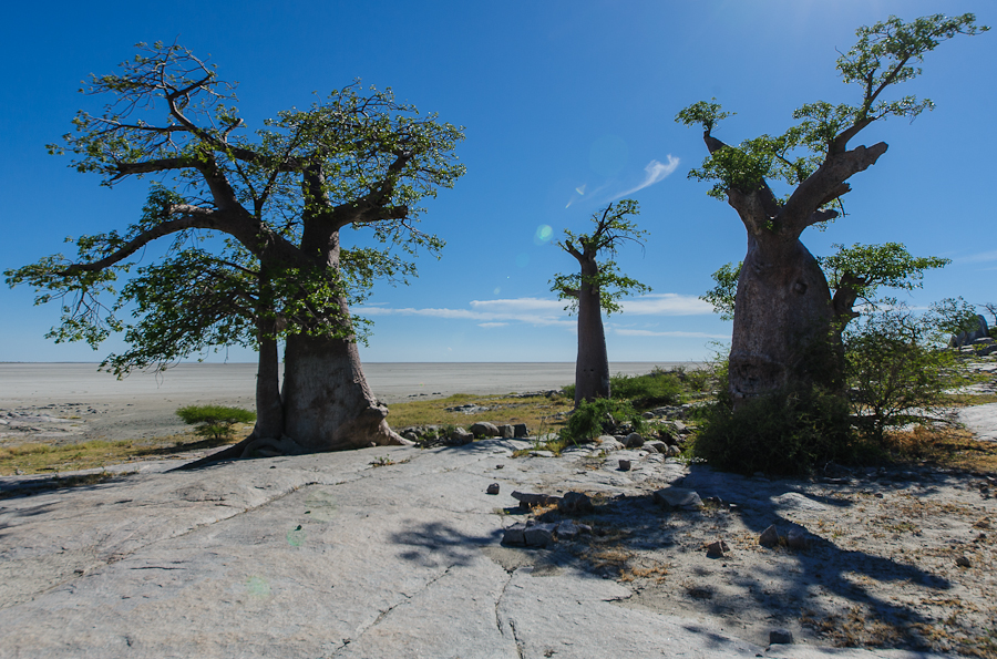 Kubu Island