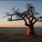 Kubu Island (Lekhubu)