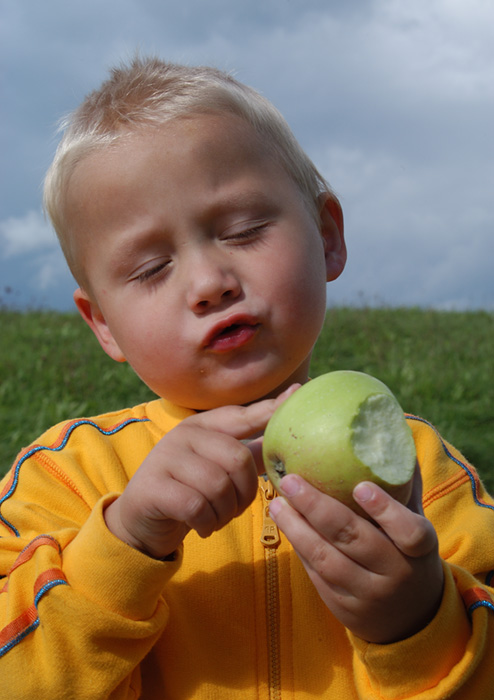 kuck mal da is was im apfel