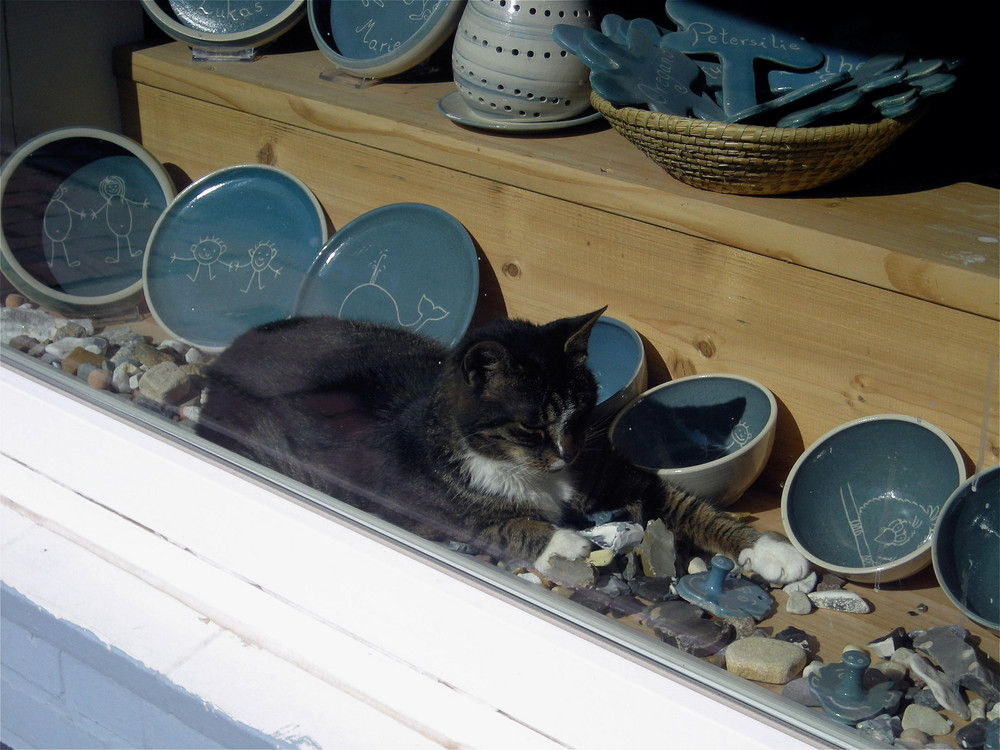 ... Kuck mal da liegt ne Katze im Schaufenster...