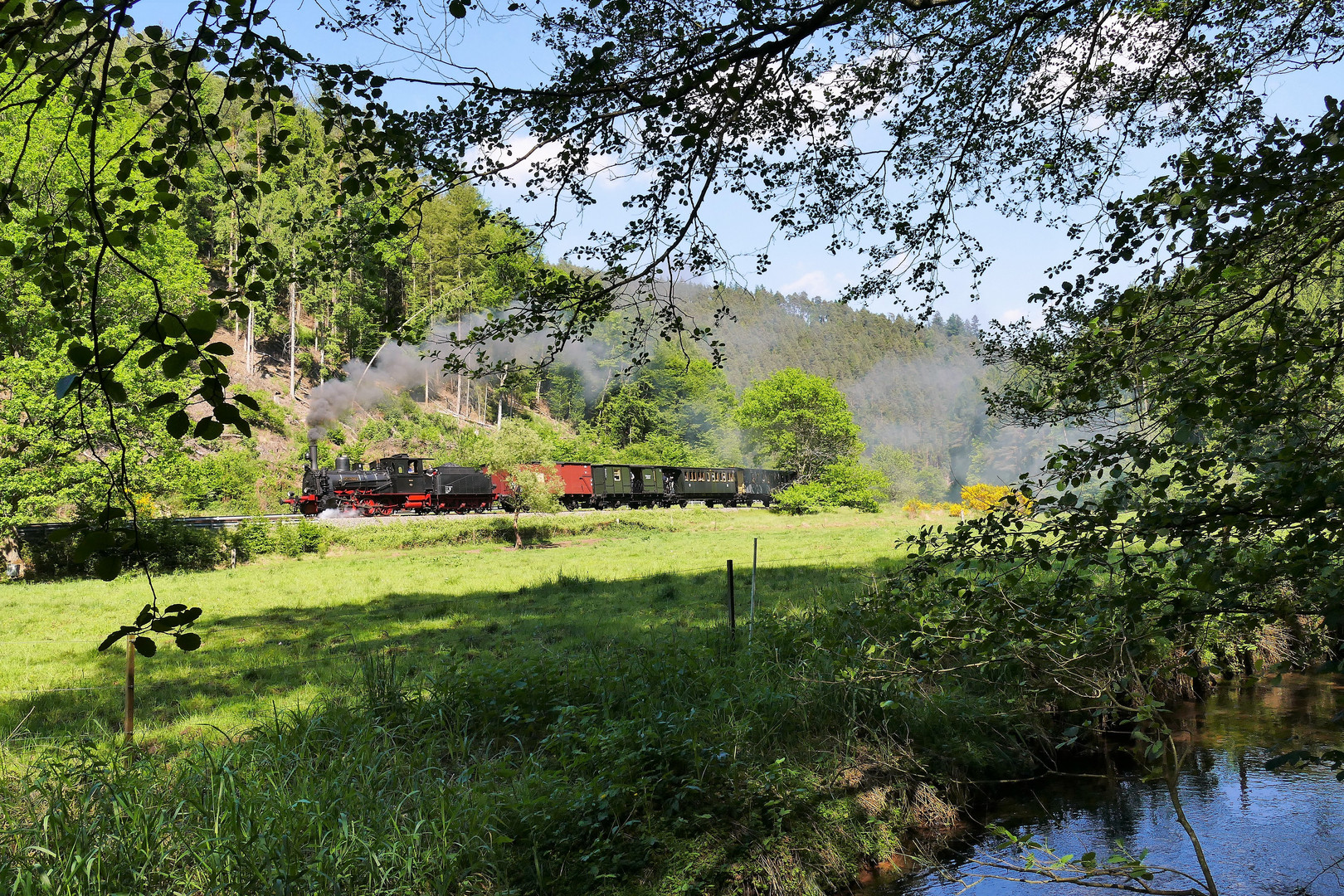 Kuckucksbähnel bei Elmstein