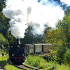 Kuckucksbähnel bei Erfenstein !