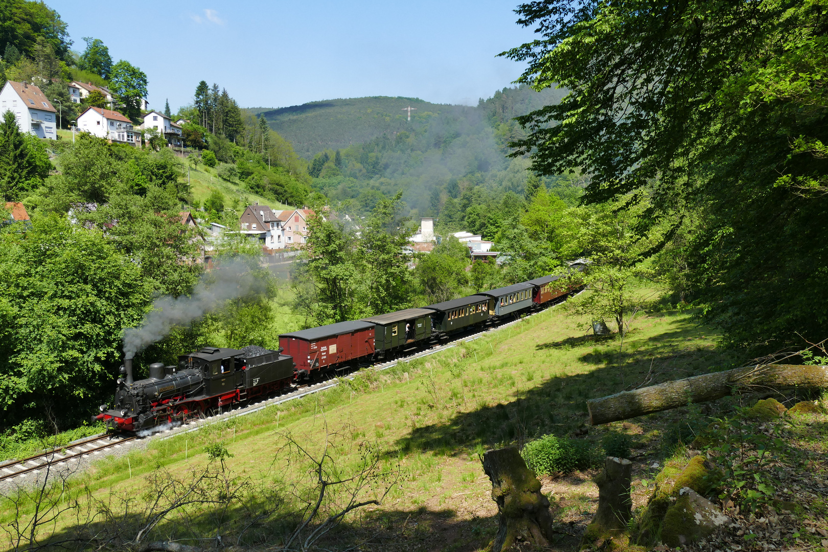 Kuckucksbähnel bei Frankeneck.