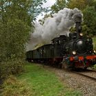 Kuckucksbähnel im Herbst