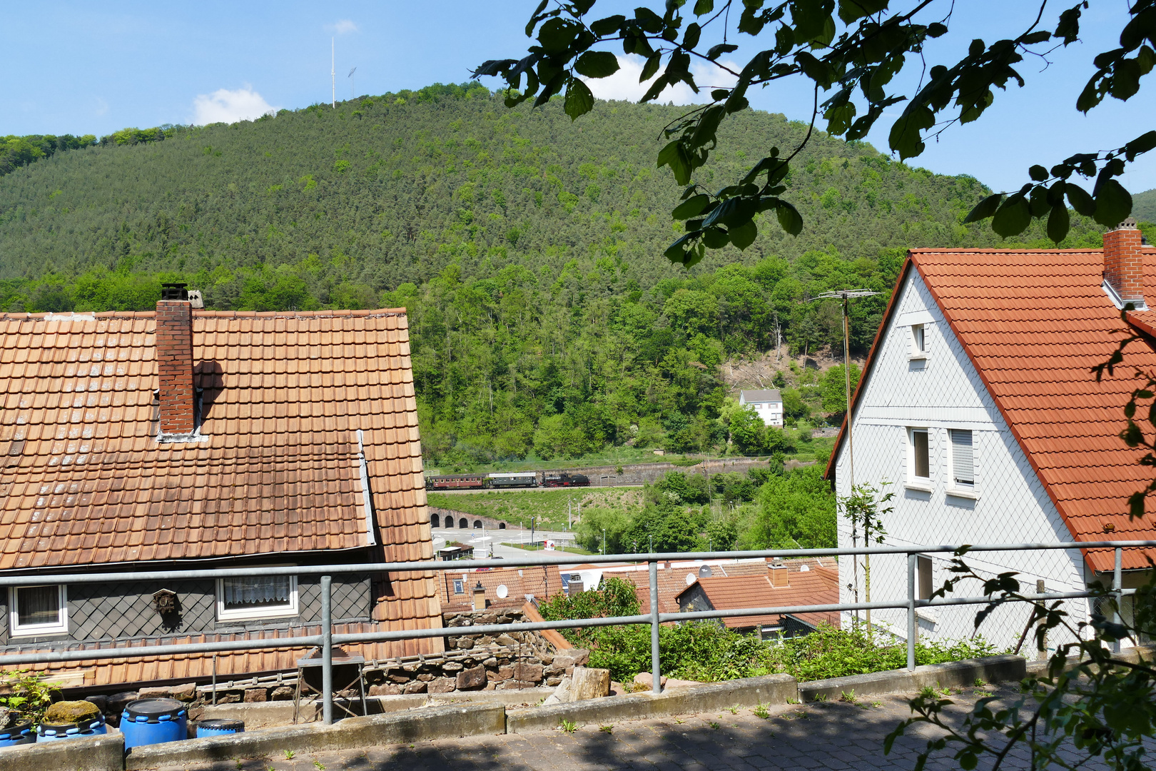 Kuckucksbähnel in Lambrecht/Pfalz